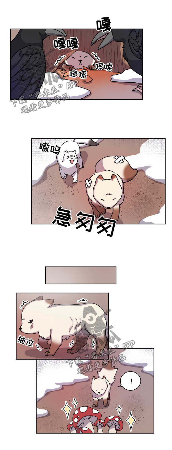 《狐狼变》漫画最新章节第29章：走丢免费下拉式在线观看章节第【3】张图片