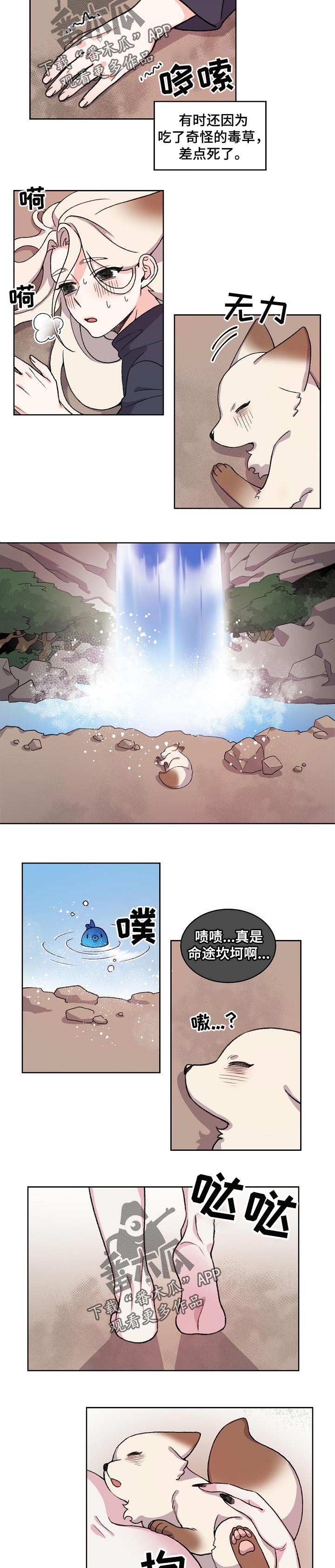 《狐狼变》漫画最新章节第63章：成神的原因免费下拉式在线观看章节第【6】张图片