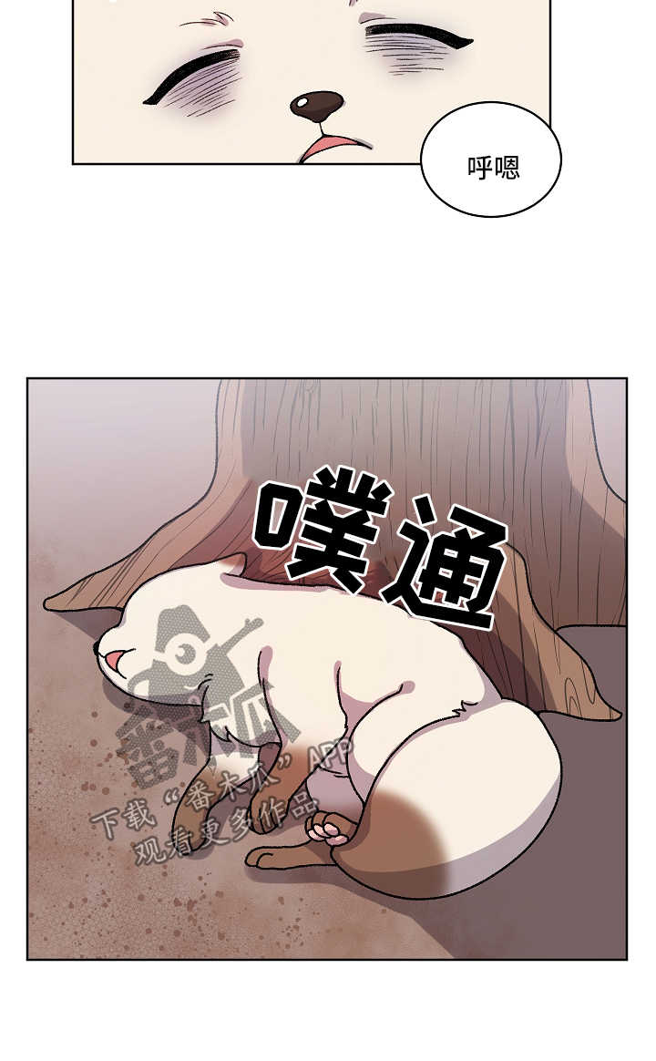 狐狼变-第30章：收养全彩韩漫标签