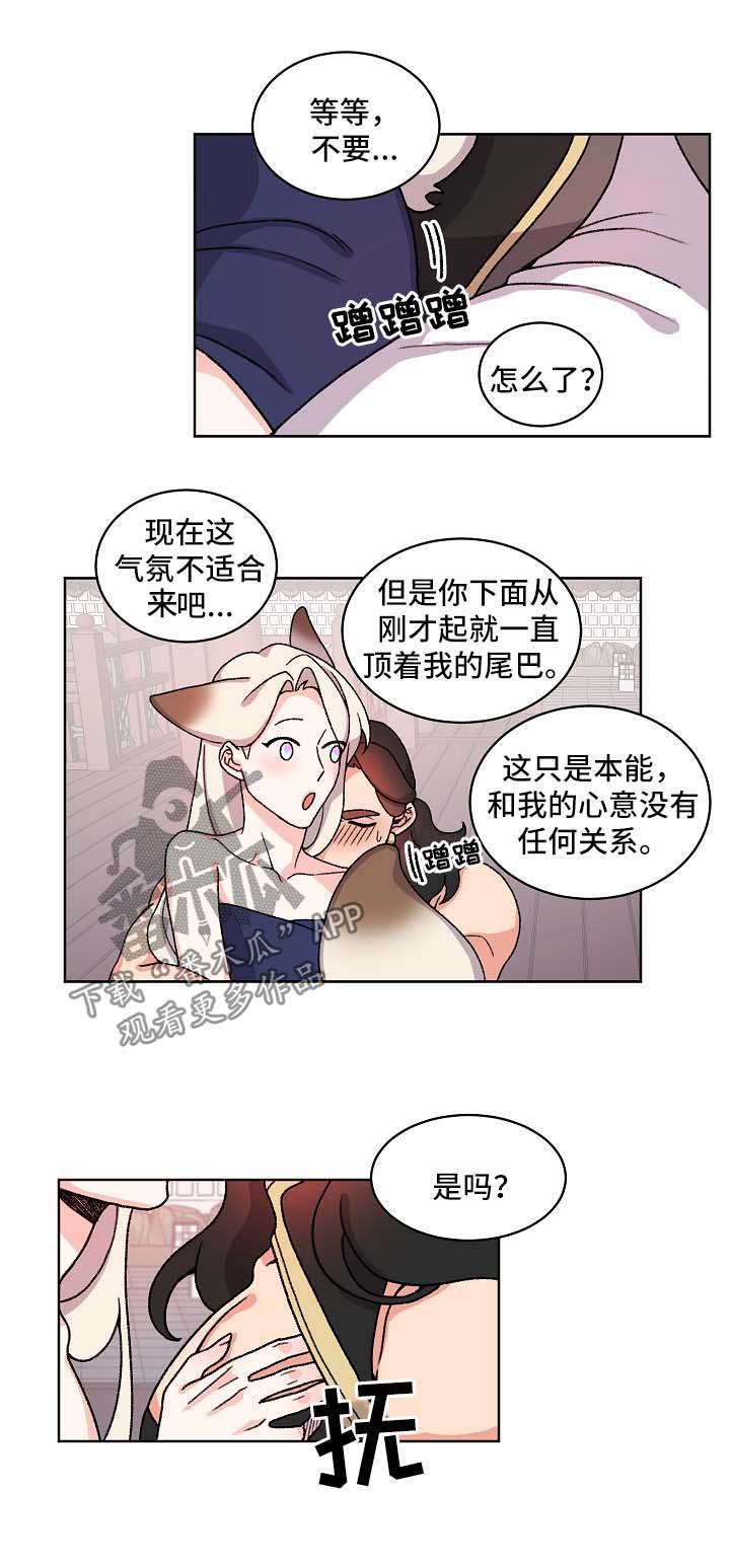 《狐狼变》漫画最新章节第38章：特别的存在免费下拉式在线观看章节第【4】张图片