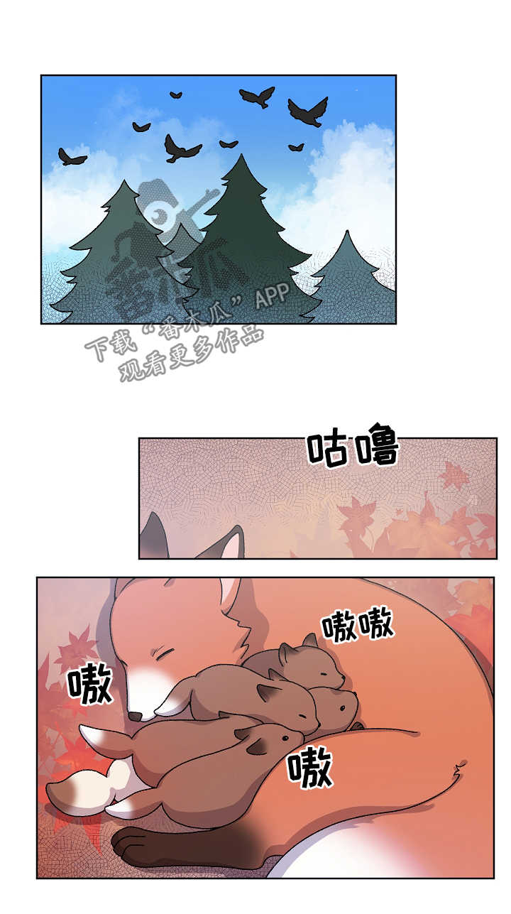 《狐狼变》漫画最新章节第29章：走丢免费下拉式在线观看章节第【12】张图片