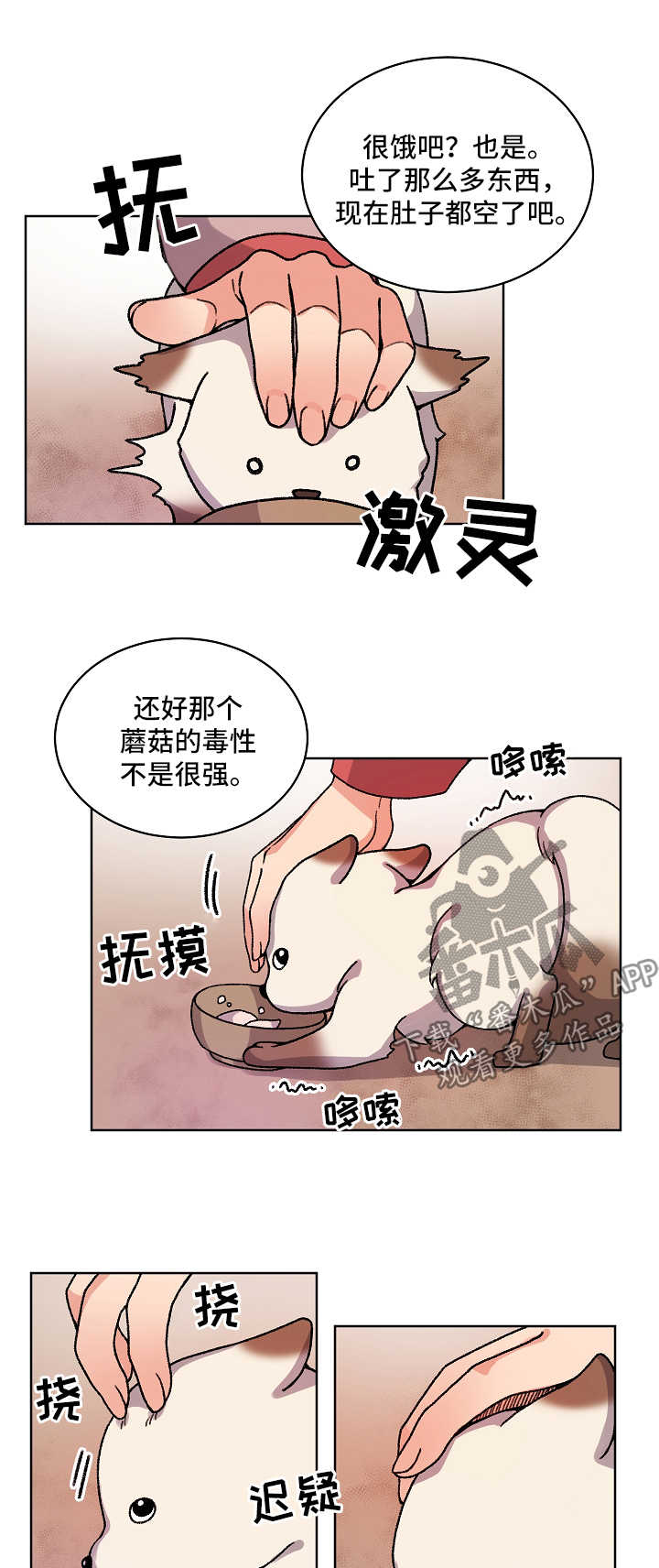 《狐狼变》漫画最新章节第30章：收养免费下拉式在线观看章节第【5】张图片