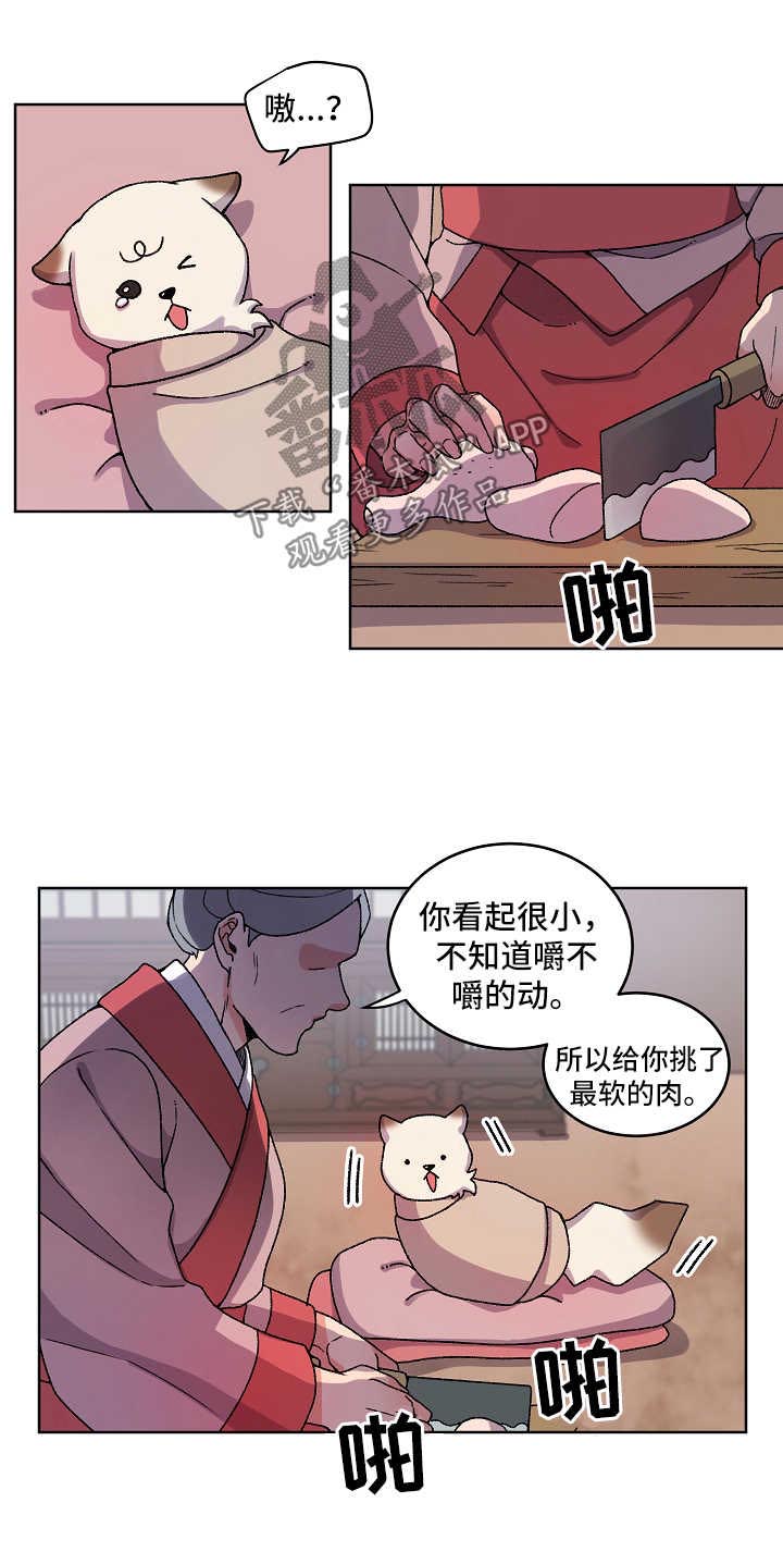 《狐狼变》漫画最新章节第30章：收养免费下拉式在线观看章节第【7】张图片