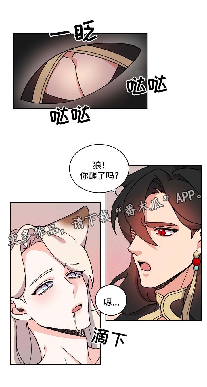 《狐狼变》漫画最新章节第37章：苏醒免费下拉式在线观看章节第【10】张图片