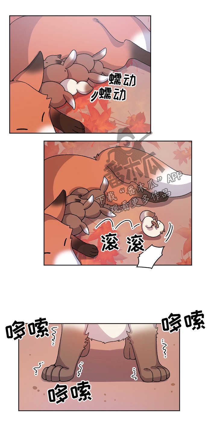 《狐狼变》漫画最新章节第29章：走丢免费下拉式在线观看章节第【11】张图片