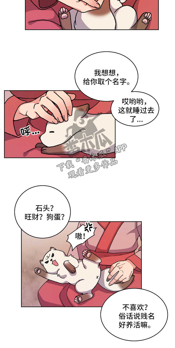 《狐狼变》漫画最新章节第30章：收养免费下拉式在线观看章节第【3】张图片