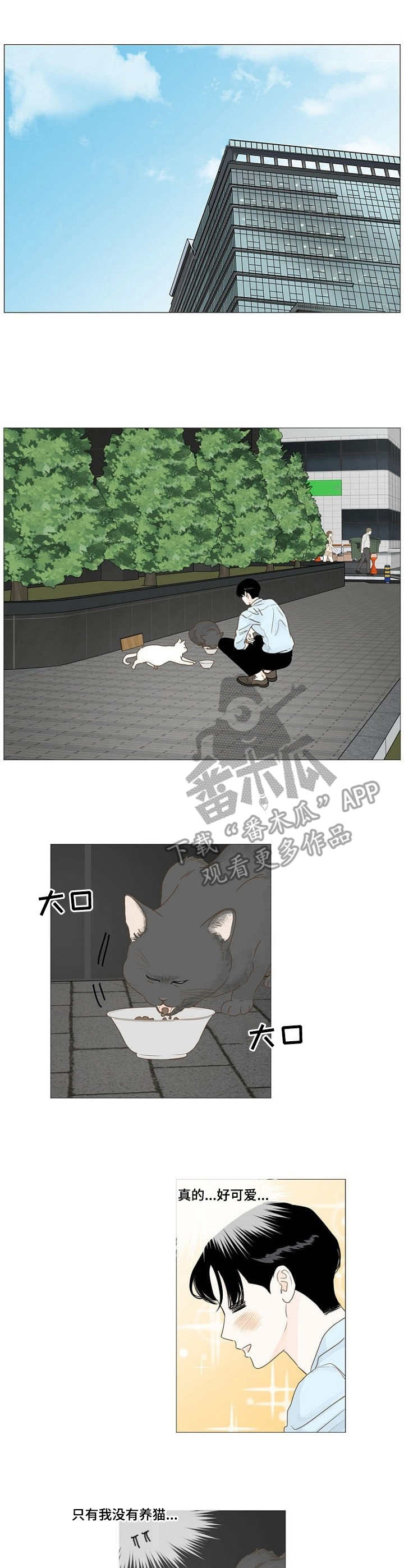 《秘密之间》漫画最新章节第16章：喂猫免费下拉式在线观看章节第【8】张图片