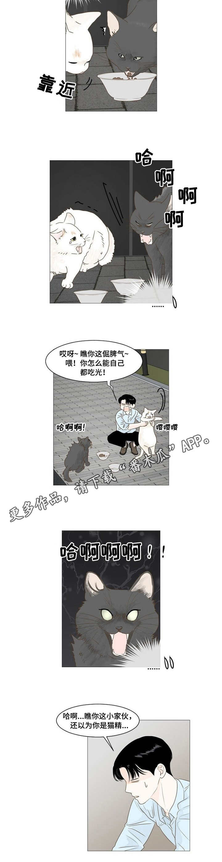 《秘密之间》漫画最新章节第16章：喂猫免费下拉式在线观看章节第【7】张图片