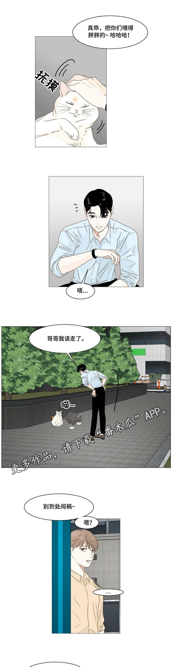 《秘密之间》漫画最新章节第16章：喂猫免费下拉式在线观看章节第【4】张图片