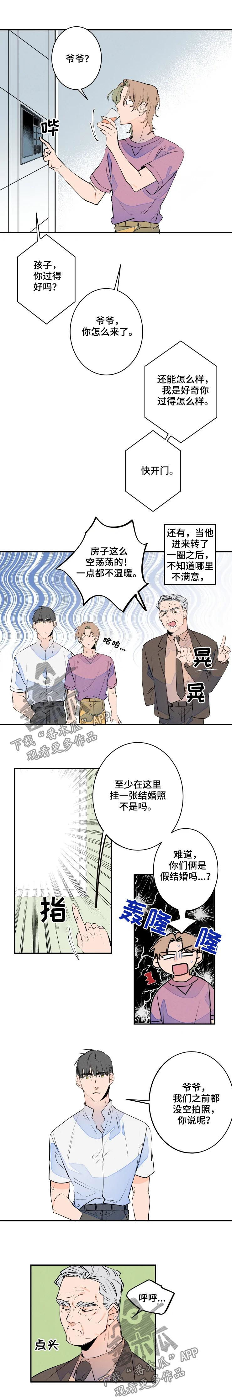 《结婚合约》漫画最新章节第51章：婚纱照免费下拉式在线观看章节第【6】张图片