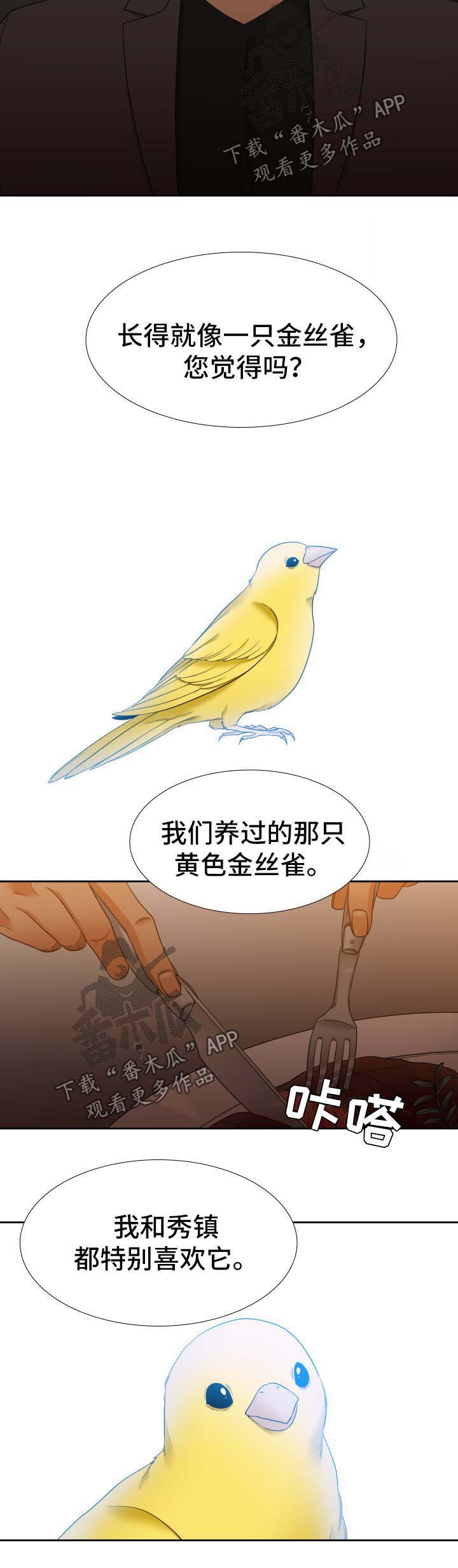 《升级组合》漫画最新章节第50章：金丝雀免费下拉式在线观看章节第【6】张图片