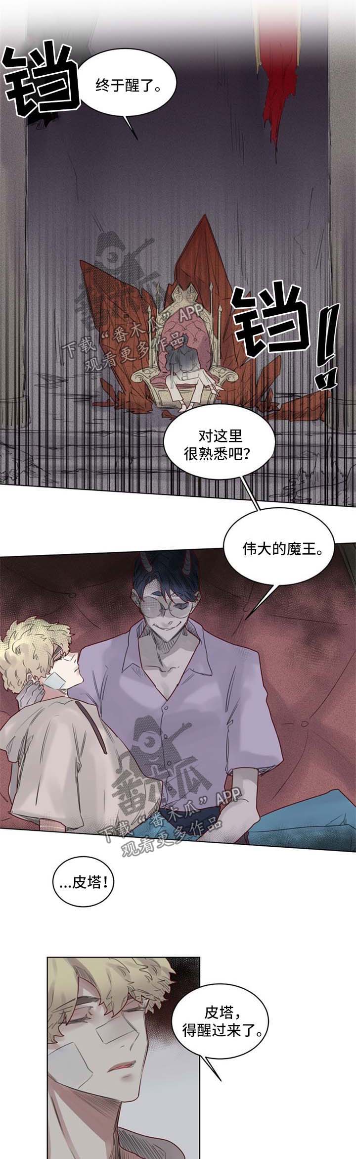 《魔法师皮塔》漫画最新章节第36章：代价免费下拉式在线观看章节第【7】张图片