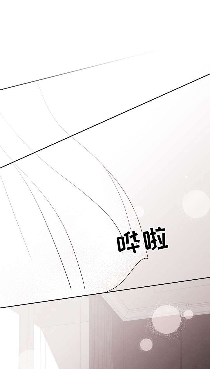 《保护条约》漫画最新章节第34章：看来是疯了免费下拉式在线观看章节第【4】张图片