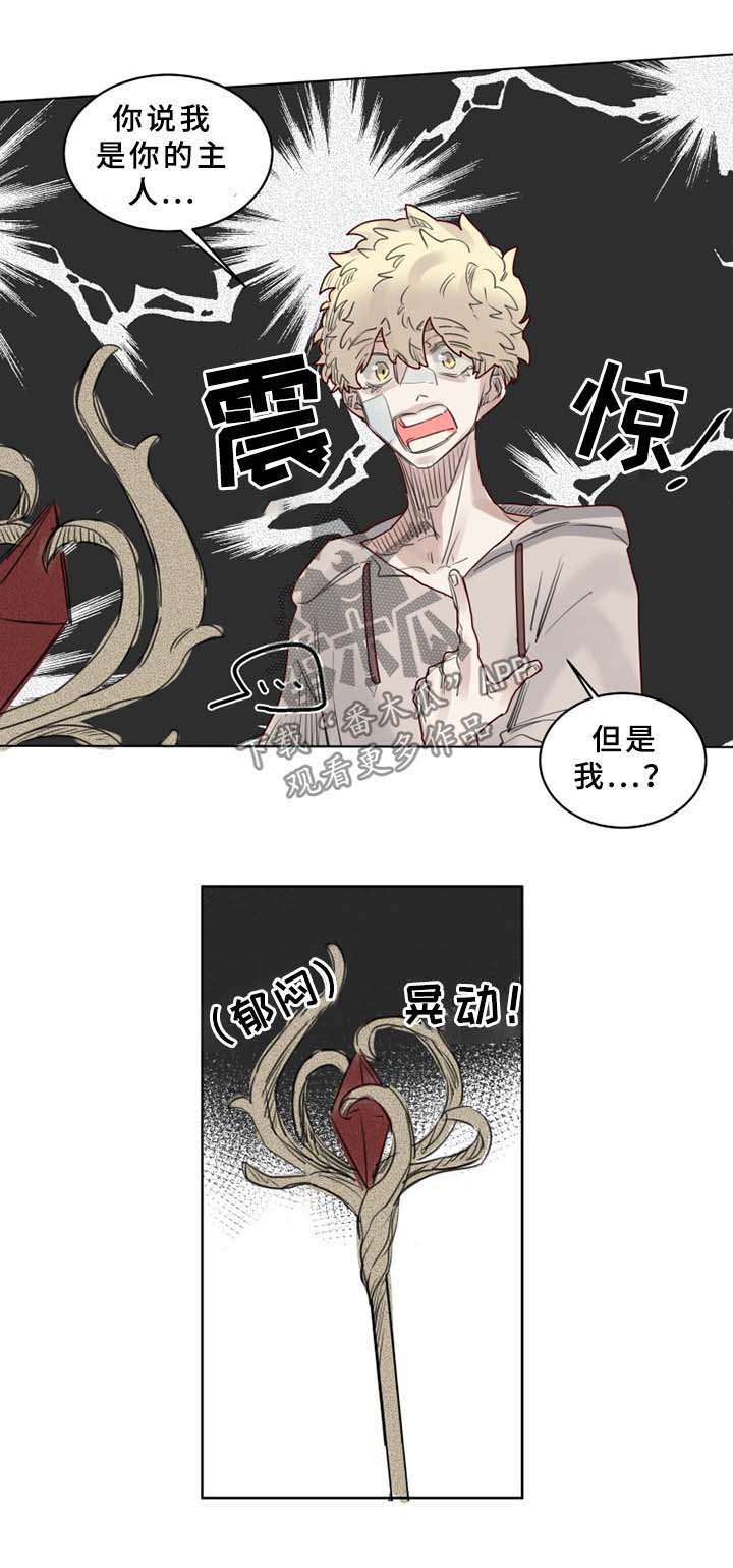 《魔法师皮塔》漫画最新章节第39章：大魔法师的秘密免费下拉式在线观看章节第【1】张图片