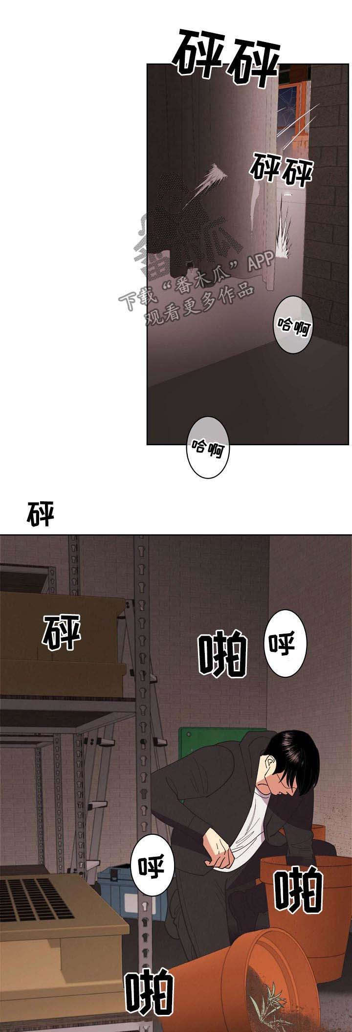 《保护条约》漫画最新章节第50章：【第二季】枪战免费下拉式在线观看章节第【8】张图片