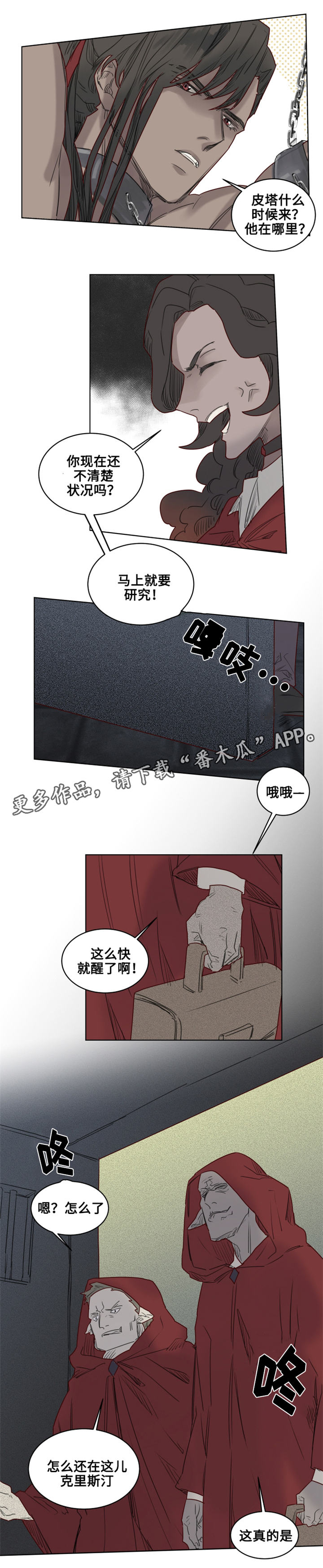 《魔法师皮塔》漫画最新章节第25章：‘红色塔’组织免费下拉式在线观看章节第【10】张图片