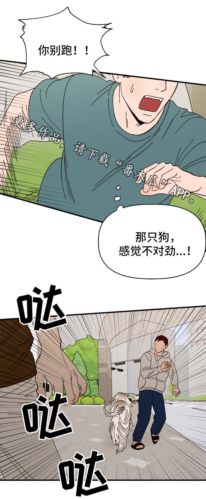 《爱宠攻略》漫画最新章节第29章：狗神免费下拉式在线观看章节第【9】张图片