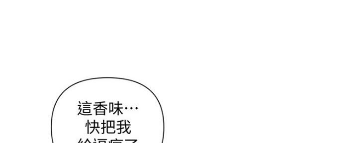 《行走费洛蒙》漫画最新章节第5话免费下拉式在线观看章节第【25】张图片