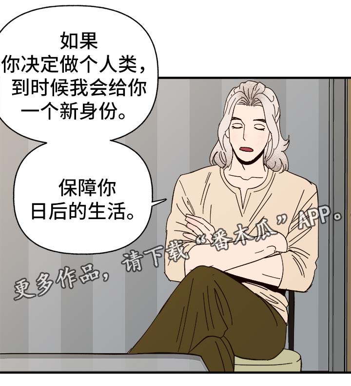 《爱宠攻略》漫画最新章节第30章：隐晦免费下拉式在线观看章节第【16】张图片