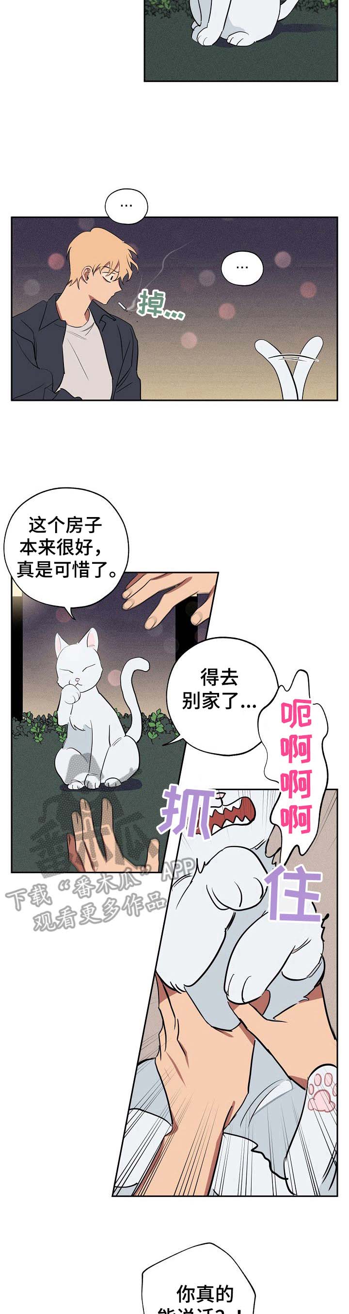 《记忆轨迹》漫画最新章节第33章：忠告免费下拉式在线观看章节第【7】张图片