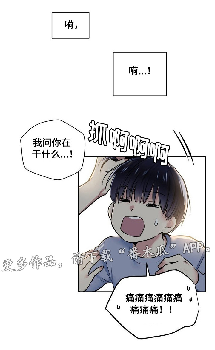 《指令》漫画最新章节第15章：你在干什么免费下拉式在线观看章节第【2】张图片