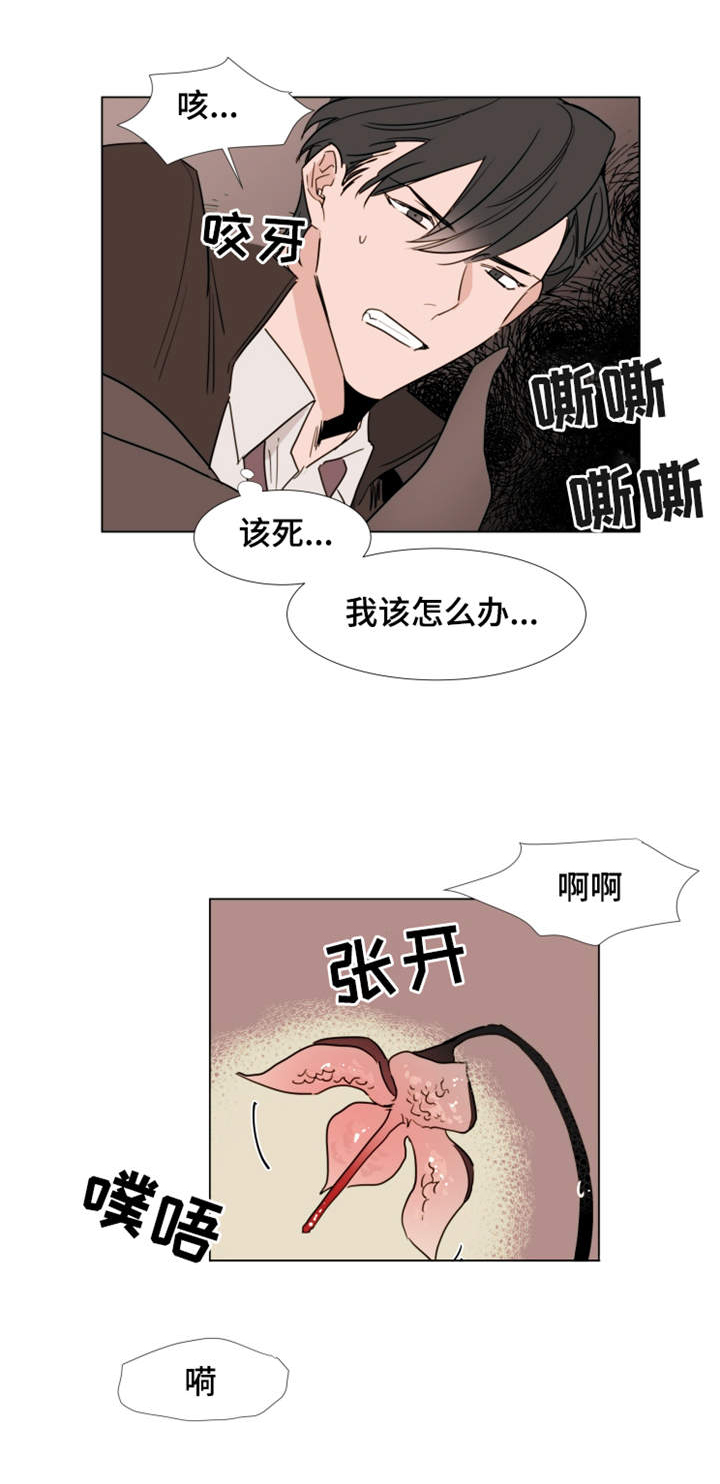 《植物效应》漫画最新章节第23章：取出免费下拉式在线观看章节第【7】张图片