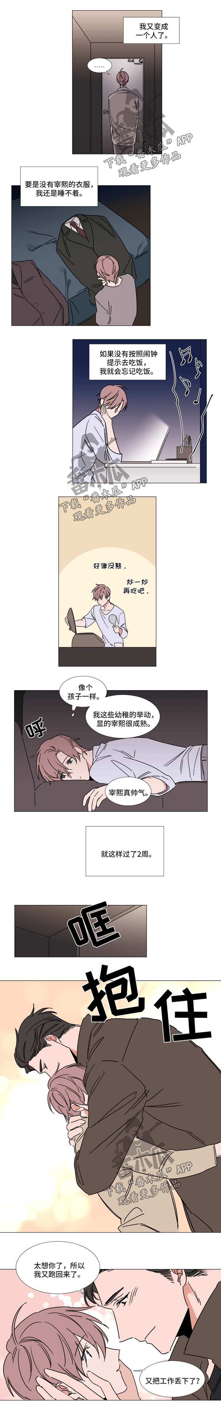 《植物效应》漫画最新章节第62章：选择免费下拉式在线观看章节第【5】张图片