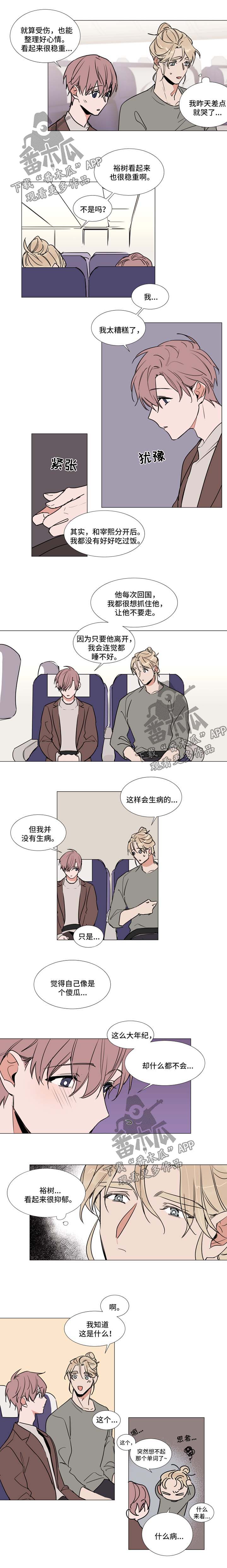 《植物效应》漫画最新章节第65章：起飞免费下拉式在线观看章节第【2】张图片