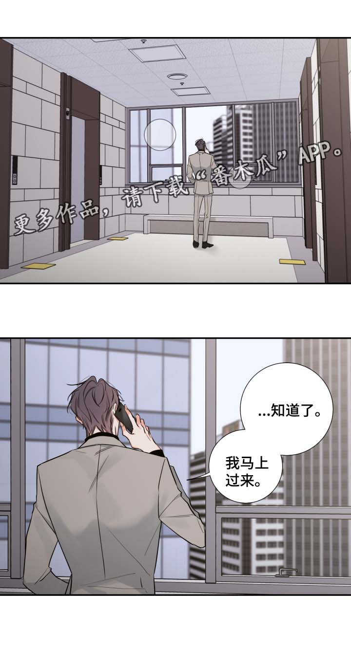 《半血族》漫画最新章节第47章：该怎么处理免费下拉式在线观看章节第【11】张图片