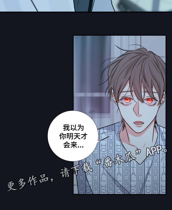 《半血族》漫画最新章节第45章：医生免费下拉式在线观看章节第【16】张图片