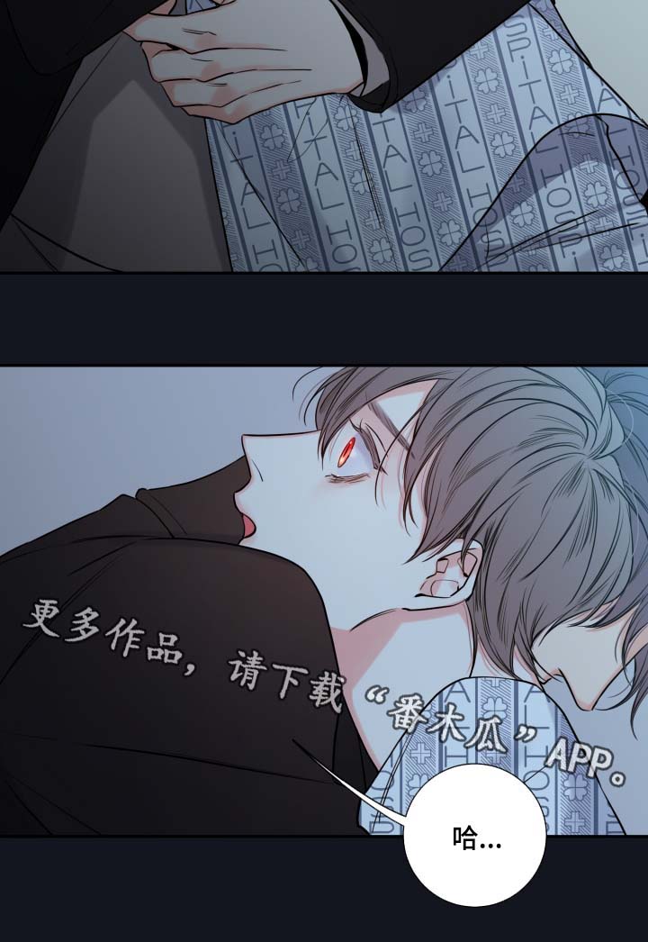 《半血族》漫画最新章节第41章：必须找到你免费下拉式在线观看章节第【12】张图片