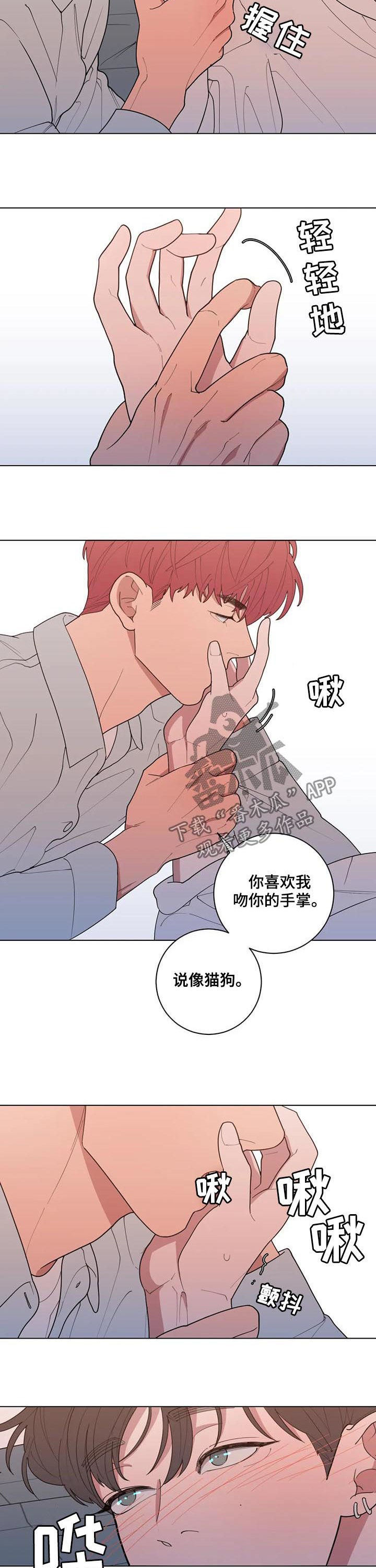 《观后感》漫画最新章节第186章：喜好免费下拉式在线观看章节第【6】张图片