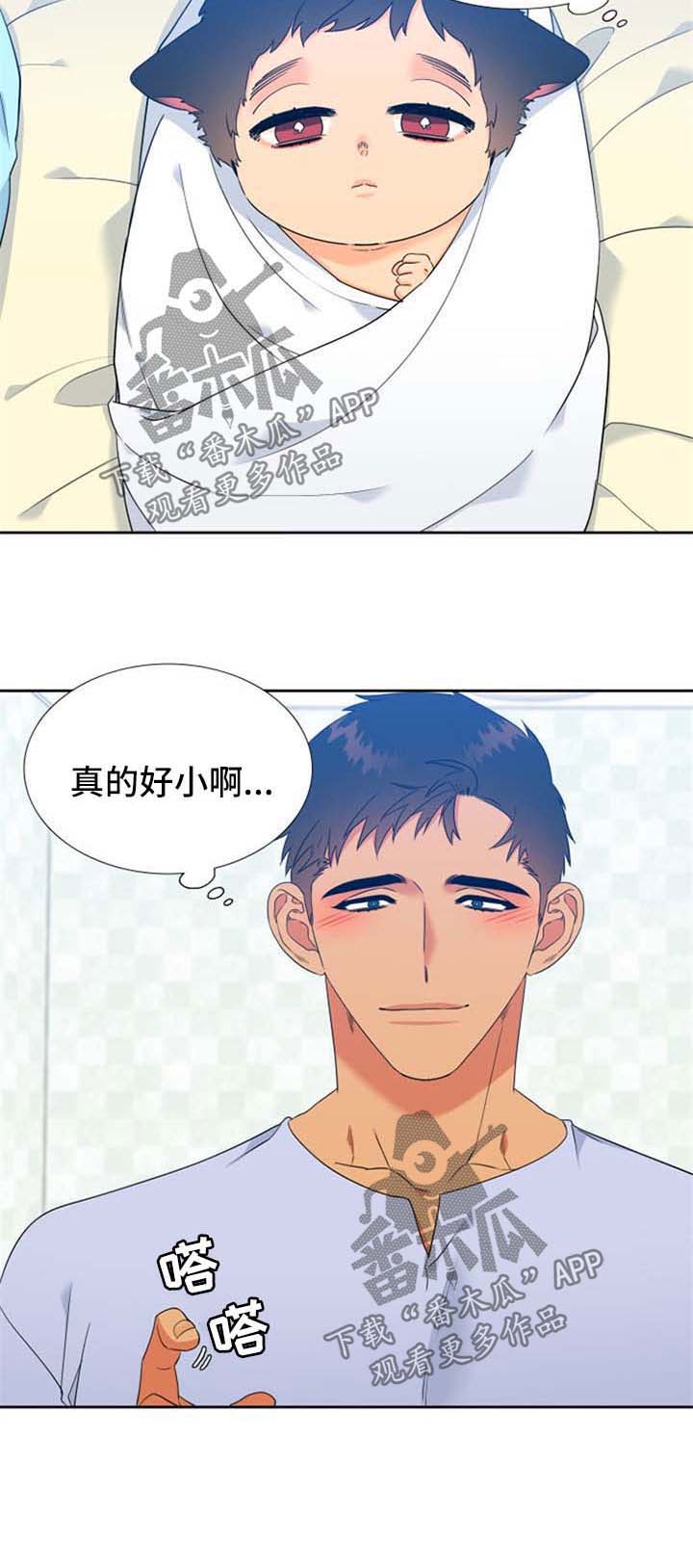 《狼的香气》漫画最新章节第205章：【第二季】主人格苏醒免费下拉式在线观看章节第【1】张图片