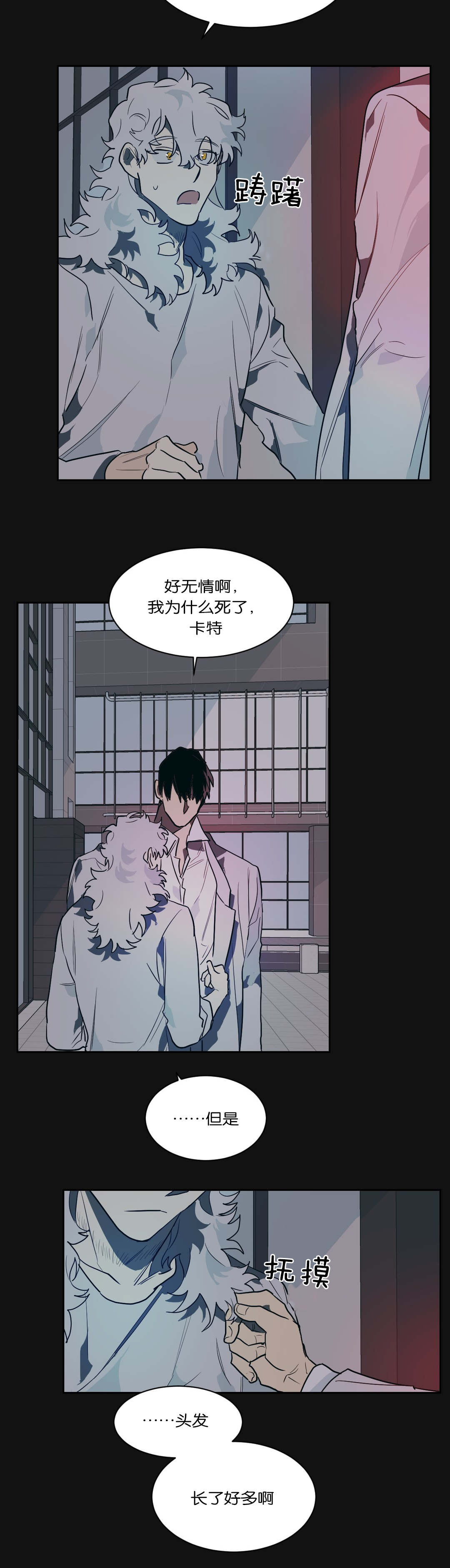 《狼人卡特》漫画最新章节第42章：我负责免费下拉式在线观看章节第【13】张图片