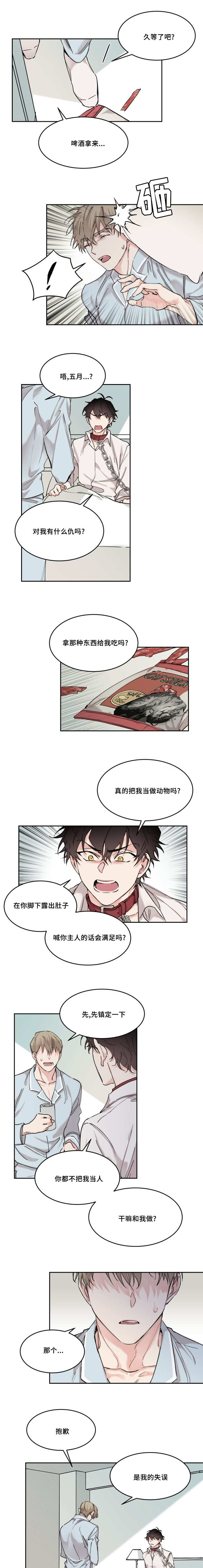 《猫的项圈》漫画最新章节第14章：要负责啊免费下拉式在线观看章节第【3】张图片