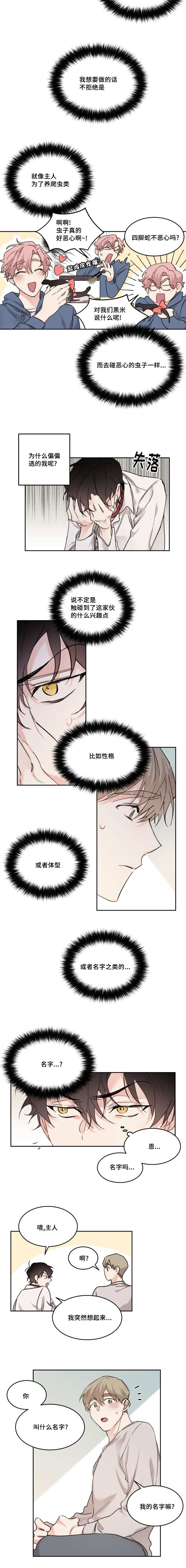 《猫的项圈》漫画最新章节第15章：你的名字免费下拉式在线观看章节第【1】张图片