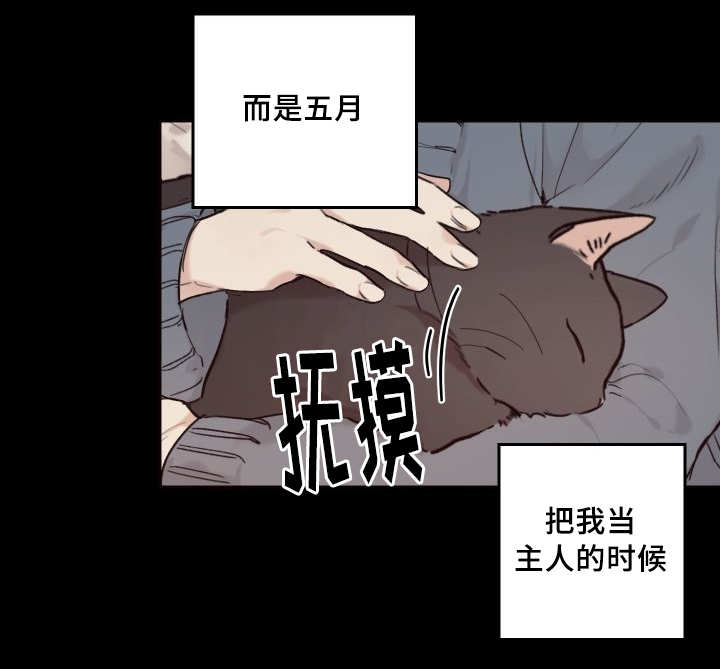 《猫的项圈》漫画最新章节第33章：被谁抢走了免费下拉式在线观看章节第【35】张图片