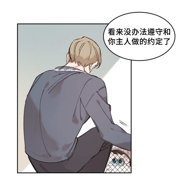 《猫的项圈》漫画最新章节第27章：完全吃醋了免费下拉式在线观看章节第【2】张图片