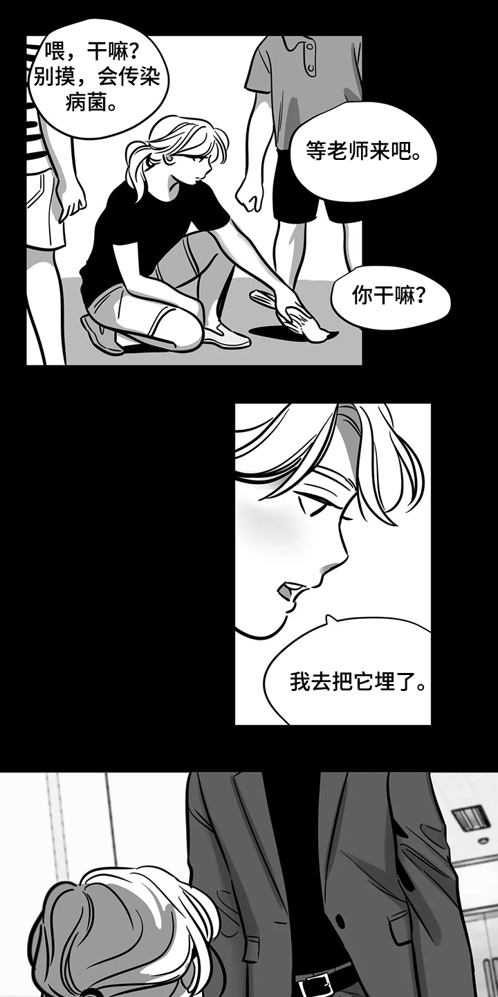 《鸠占鹊巢》漫画最新章节第60章：【第二季】撞死的鸟免费下拉式在线观看章节第【7】张图片