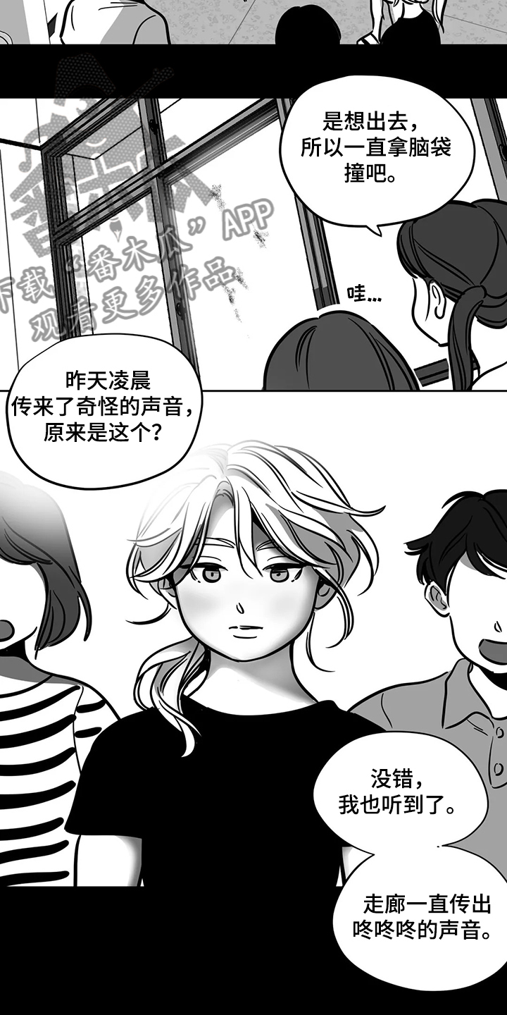 《鸠占鹊巢》漫画最新章节第60章：【第二季】撞死的鸟免费下拉式在线观看章节第【8】张图片