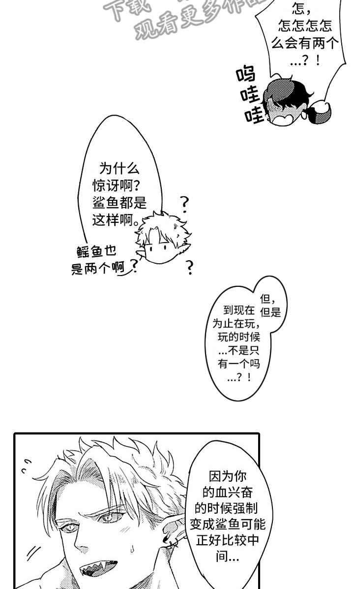 《献给鲨鱼家族》漫画最新章节第11章：好奇免费下拉式在线观看章节第【15】张图片