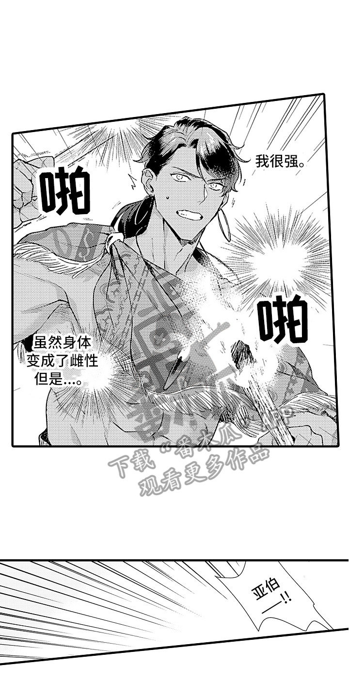 《献给鲨鱼家族》漫画最新章节第20章：配合免费下拉式在线观看章节第【15】张图片