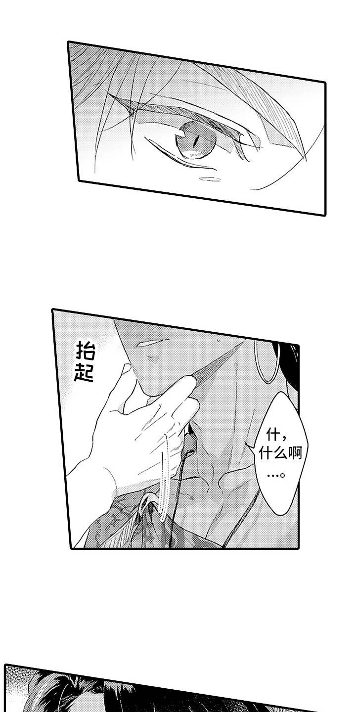 《献给鲨鱼家族》漫画最新章节第17章：出事了免费下拉式在线观看章节第【18】张图片