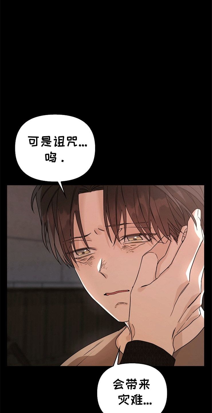 《诅咒之子》漫画最新章节第9章：光明的过去免费下拉式在线观看章节第【13】张图片