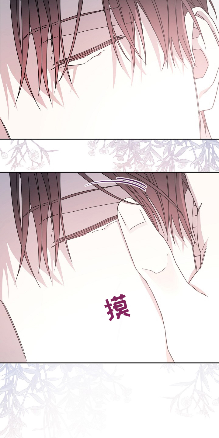 《诅咒之子》漫画最新章节第34章：调查免费下拉式在线观看章节第【26】张图片