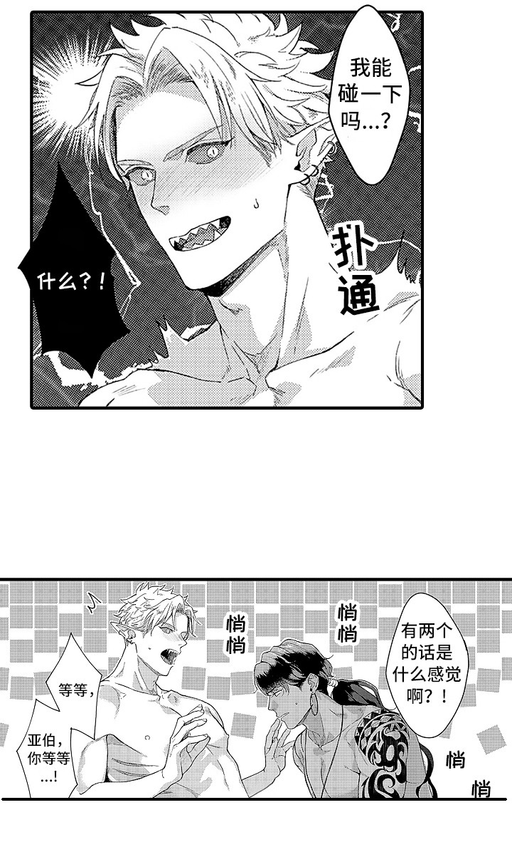 《献给鲨鱼家族》漫画最新章节第11章：好奇免费下拉式在线观看章节第【12】张图片