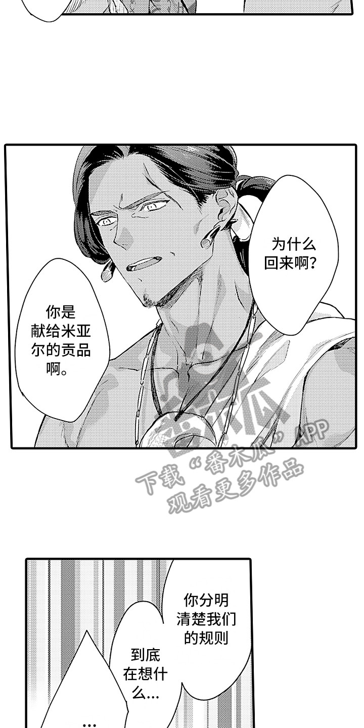 《献给鲨鱼家族》漫画最新章节第24章：规则免费下拉式在线观看章节第【14】张图片