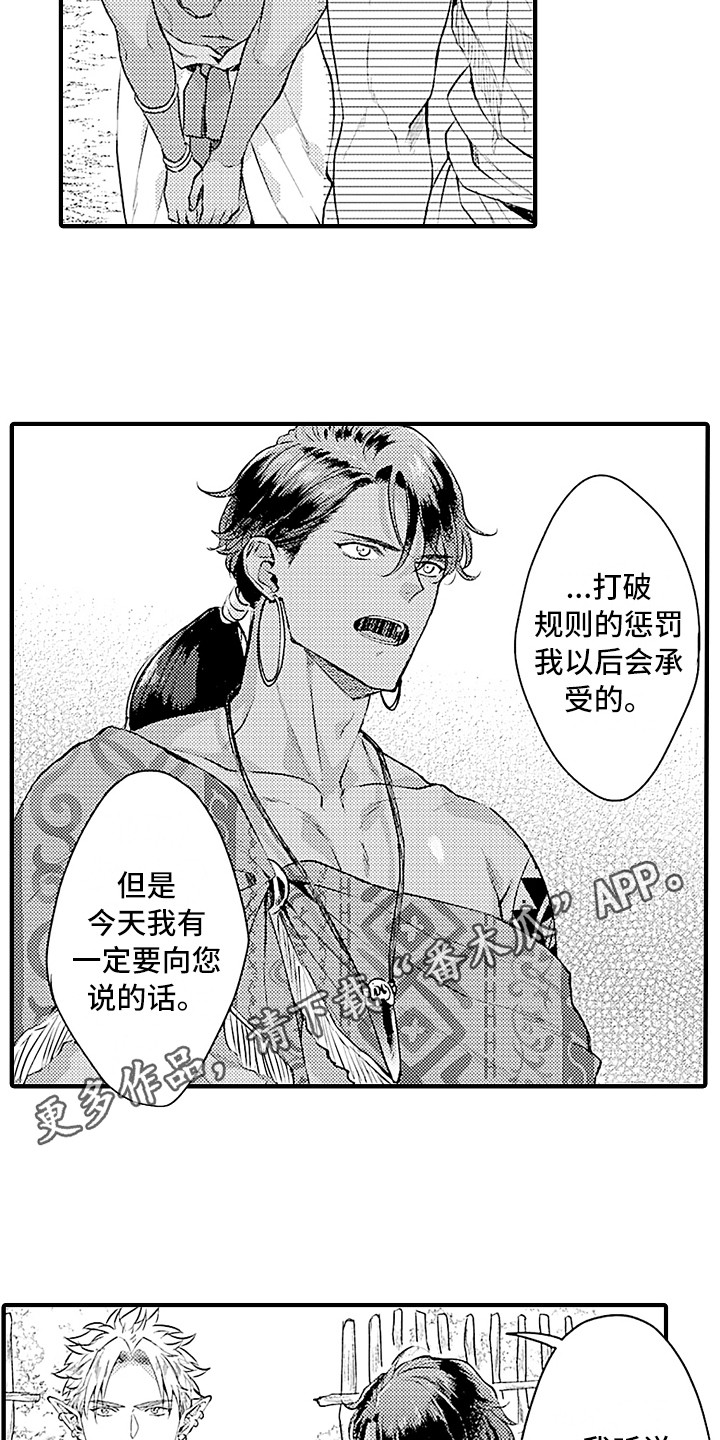 《献给鲨鱼家族》漫画最新章节第24章：规则免费下拉式在线观看章节第【12】张图片