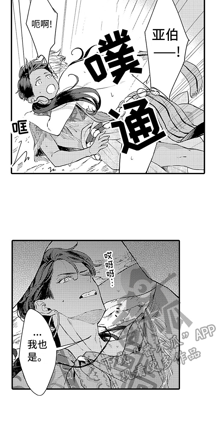 《献给鲨鱼家族》漫画最新章节第23章：回来了免费下拉式在线观看章节第【9】张图片