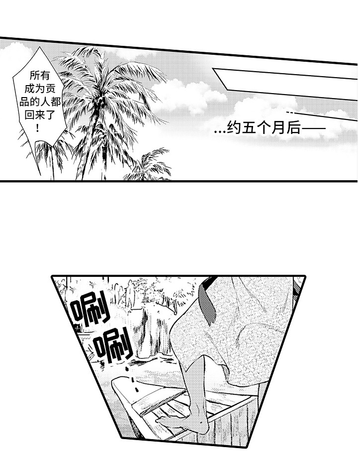 《献给鲨鱼家族》漫画最新章节第27章：归乡免费下拉式在线观看章节第【12】张图片